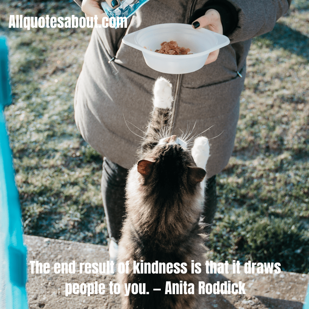 Kindness Quotes And Saying