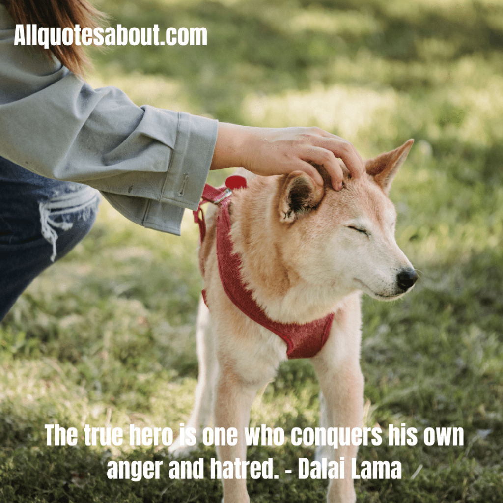 Kindness Quotes And Saying