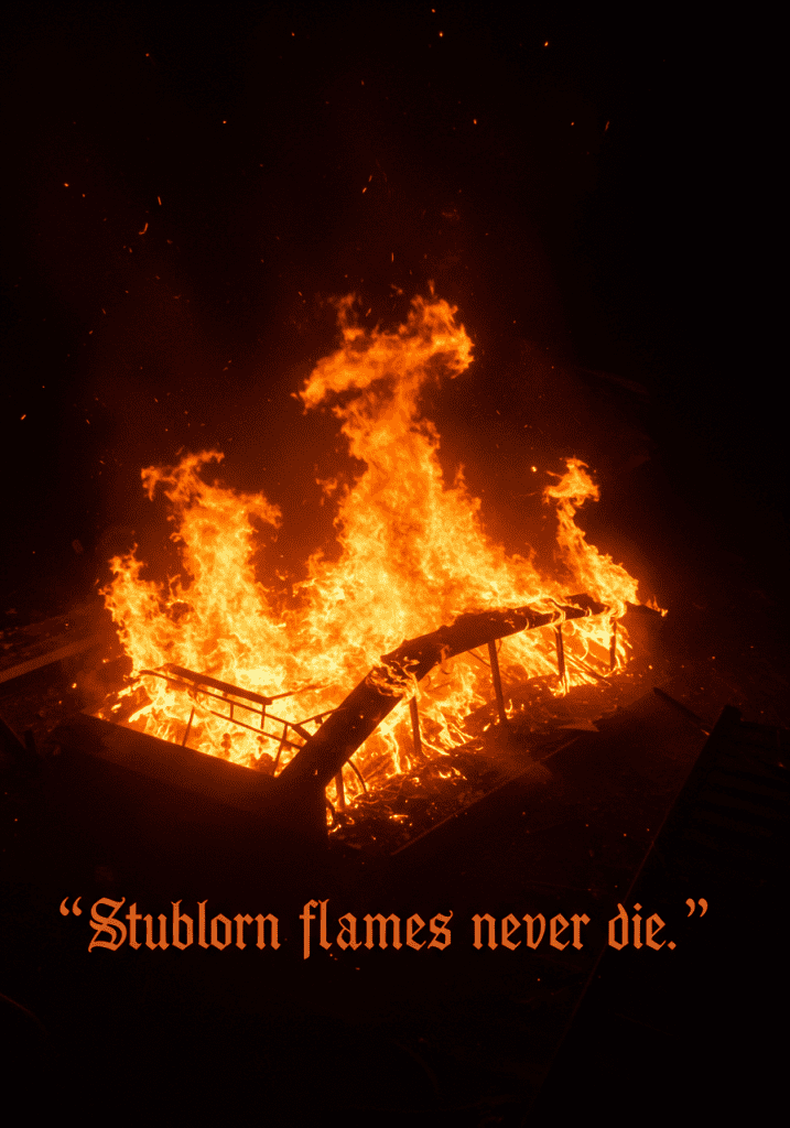 Stubborn Quotes