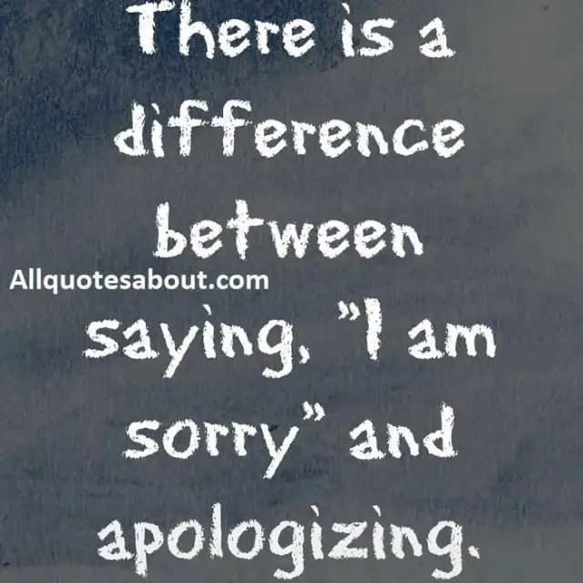 160+ Sorry Quotes and Saying