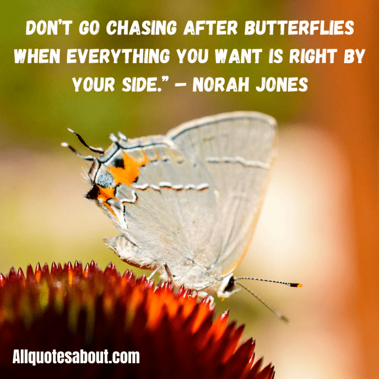 194+ Butterfly Quotes And Saying