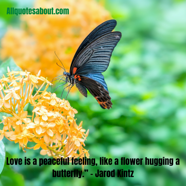 194+ Butterfly Quotes And Saying