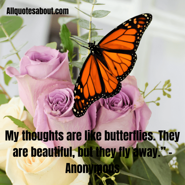 194+ Butterfly Quotes And Saying